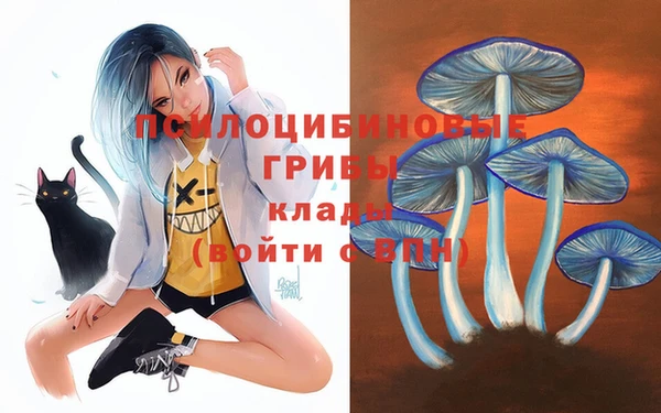 дмт Алексин