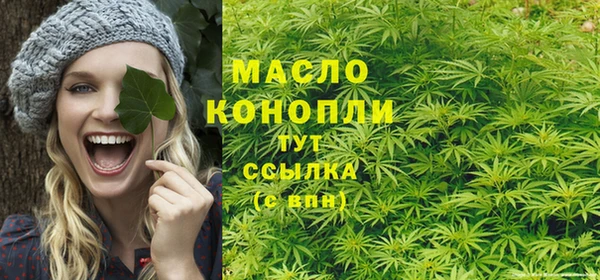 дмт Алексин