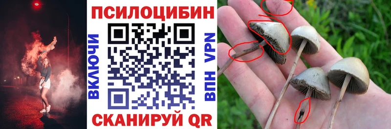 Галлюциногенные грибы Magic Shrooms магазин продажи наркотиков Кинель